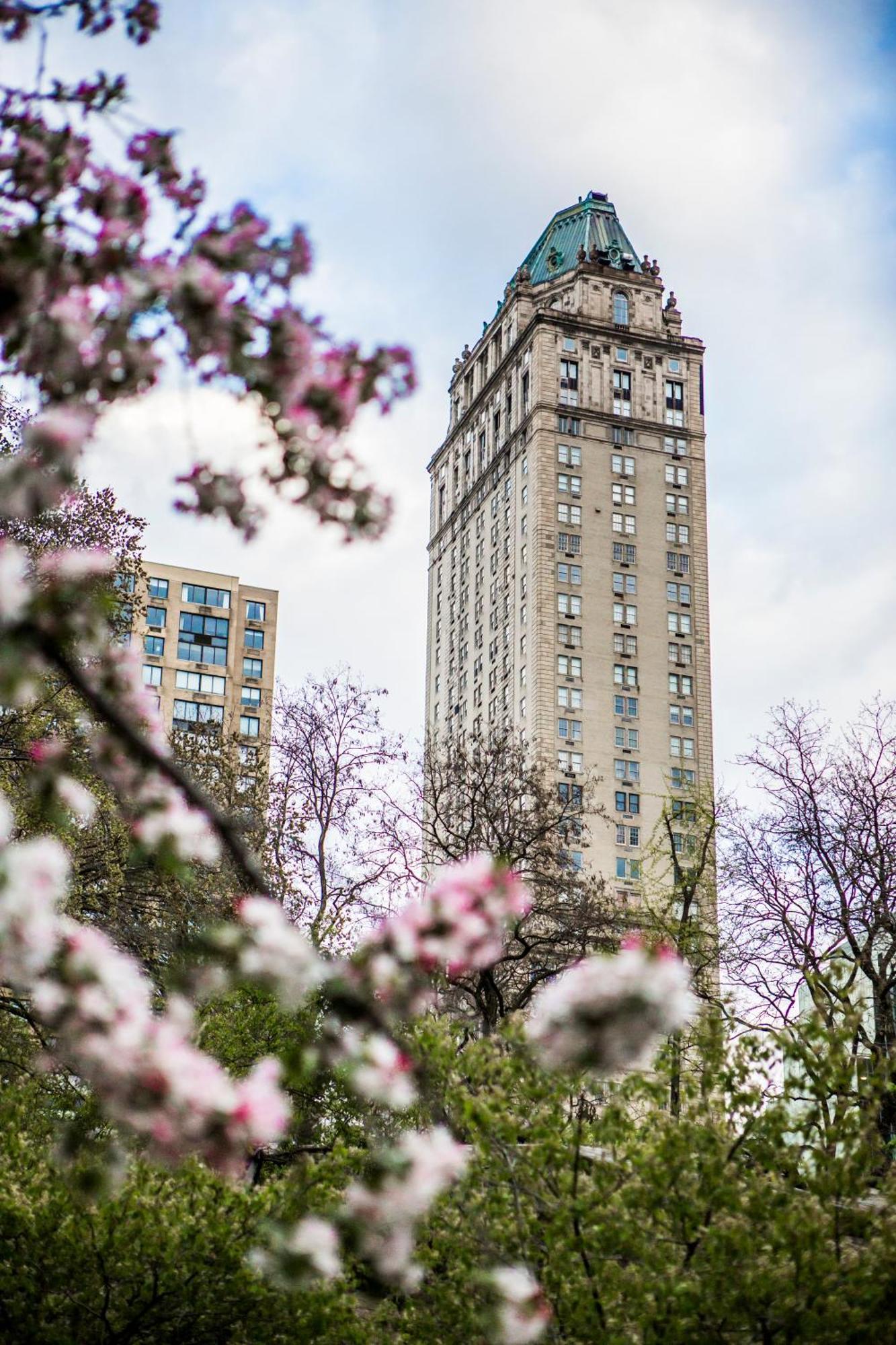 The Pierre, A Taj Hotel, Ню Йорк Екстериор снимка The building from Central Park